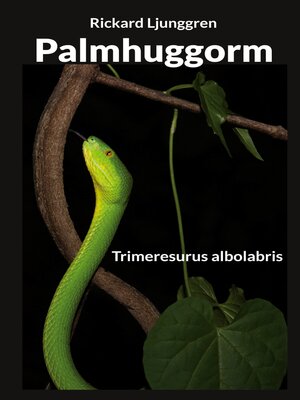 cover image of Palmhuggorm